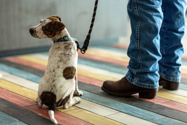 Foto van 2 Queensize Bedden | - Vakantiehuis in Cutler Bay - Facilities
