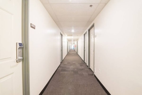 Foto van 1 kingsize bed | Toegankelijk voor mindervaliden/badkuip/magnetron - Facilities