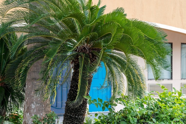 Foto van 2 tweepersoonsbedden (queensize) | Rookvrij - Vakantiehuis in Galveston TX - GardenSummer
