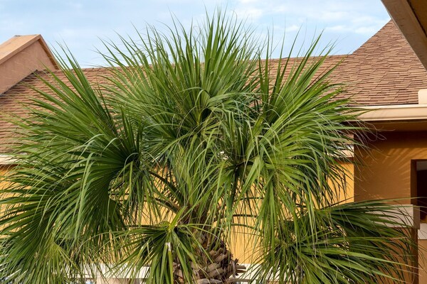 Foto van 2 tweepersoonsbedden (queensize) | Rookvrij - Vakantiehuis in Galveston TX - GardenSummer