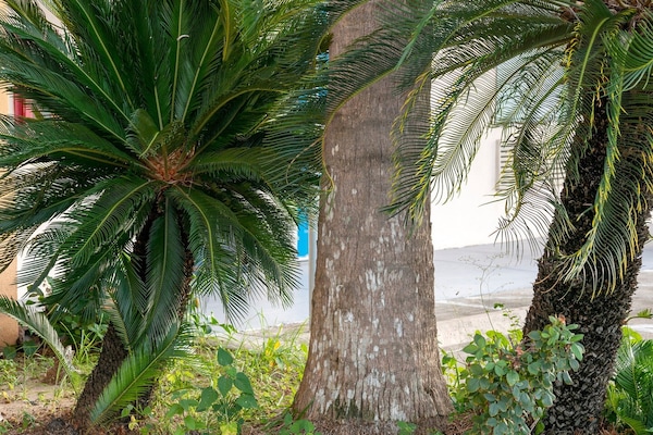 Foto van 2 tweepersoonsbedden (queensize) | Rookvrij - Vakantiehuis in Galveston TX - GardenSummer