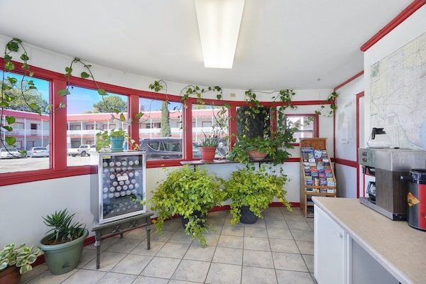 Foto van 3 tweepersoonsbedden met kitchenette - Vakantiehuis in Alpine TX - FloorPlan