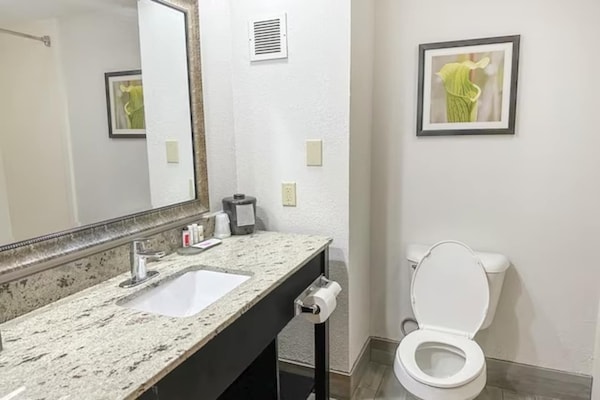 Foto van 2 tweepersoonsbedden (queensize) Niet-roken - Vakantiehuis in Jackson - BathRoom