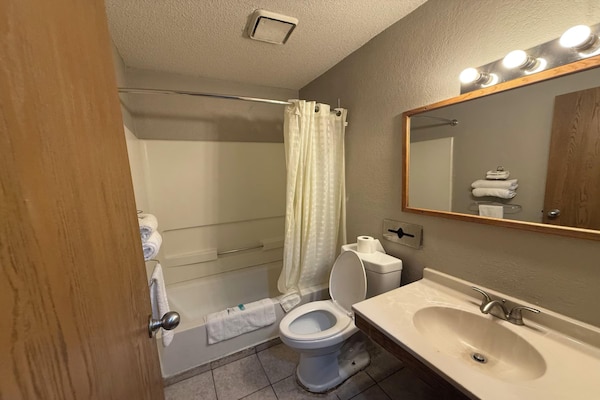 Foto van 2 tweepersoonsbedden | Rookvrij - Vakantiehuis in Coldwater, MI - BathRoom