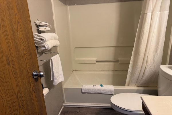 Foto van 2 tweepersoonsbedden | Rookvrij - Vakantiehuis in Coldwater, MI - BathRoom