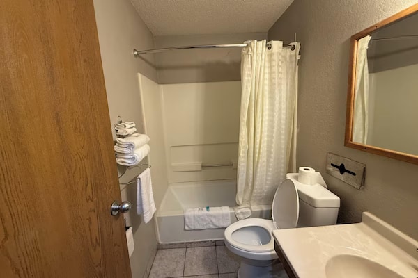 Foto van 2 tweepersoonsbedden | Rookvrij - Vakantiehuis in Coldwater, MI - BathRoom