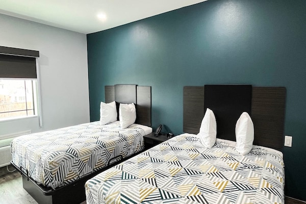 Foto van 2 tweepersoonsbedden|Toegankelijk voor mindervaliden|RI-badkamer|Keuken - BedRoom