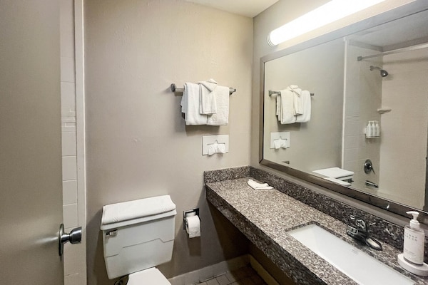 Foto van 1 kingsize bed | NSMK, koelkast, slaapbank - Vakantiehuis in Fremont (OH) - Facilities