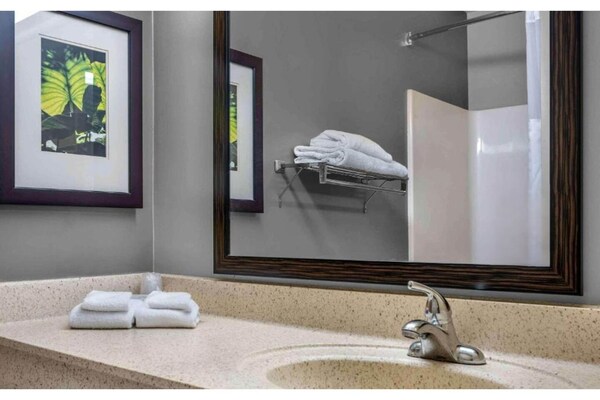 Foto van 1 tweepersoonsbed (queensize) | Rookvrij, Keuken - Vakantiehuis in Eagan - BathRoom
