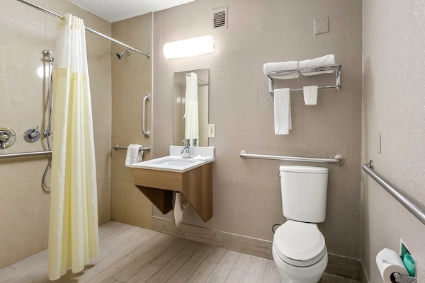 Foto van 2 queensize bedden | Premium, Micfridge - Vakantiehuis in Decatur GA - BathRoom