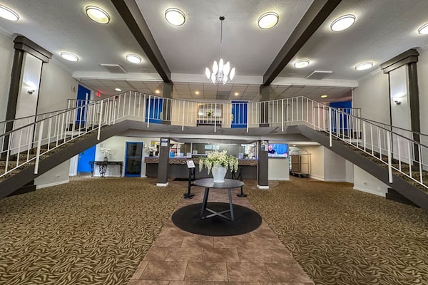 Foto van 1 kingsize bed | Badkuip met mobiele toegang Nsmk Micfridg - FloorPlan